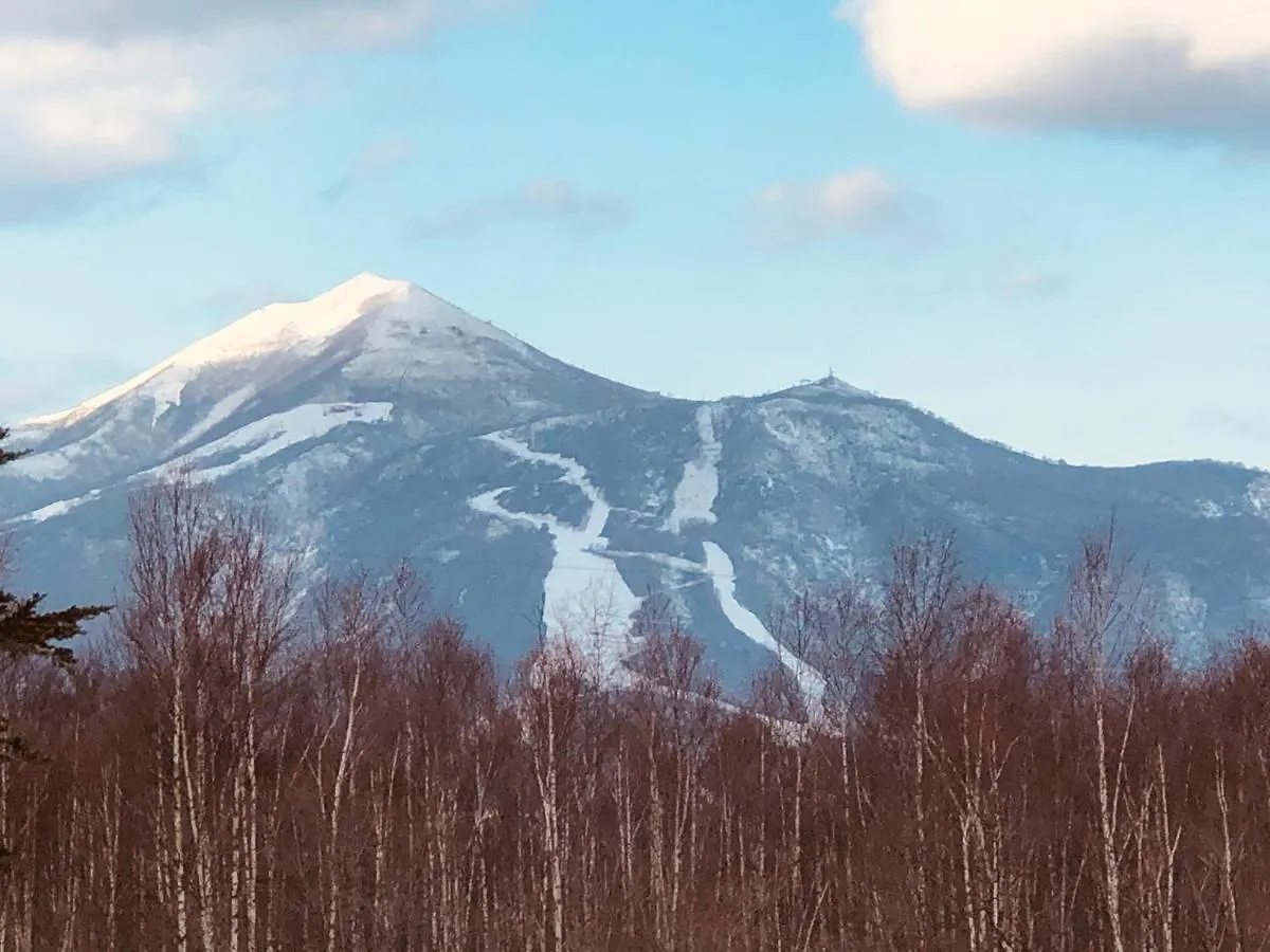 Hotel Resort Inn Niseko 3*,
